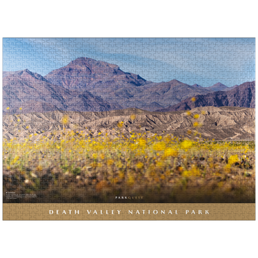 puzzleplate Death Valley National Park: Superbloom 1000 Jigsaw Puzzle