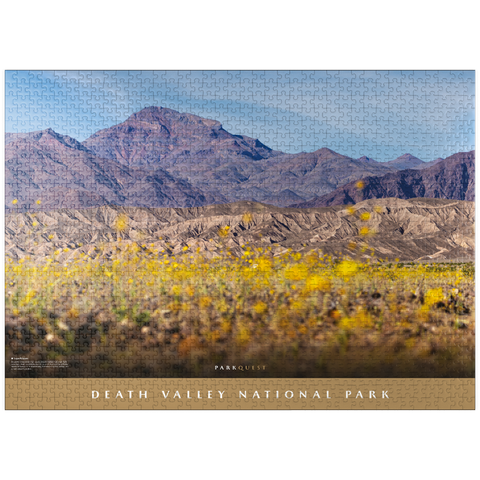 puzzleplate Death Valley National Park: Superbloom 1000 Jigsaw Puzzle