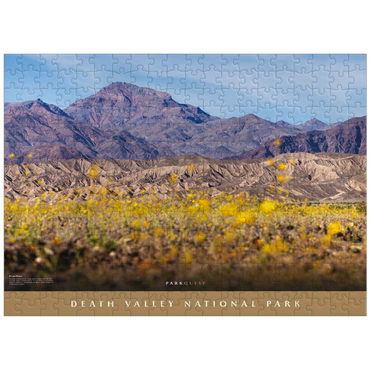 puzzleplate Death Valley National Park: Superbloom 300 Jigsaw Puzzle