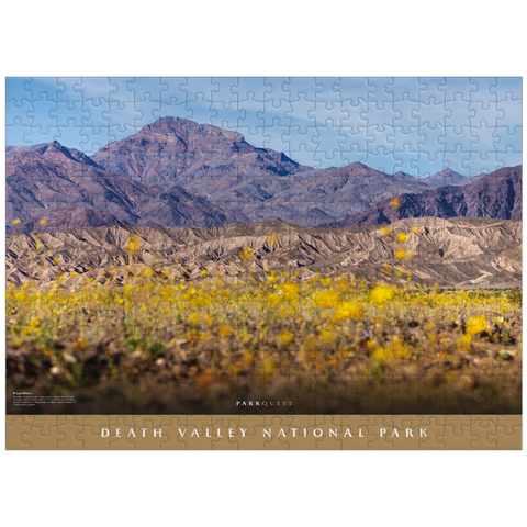 puzzleplate Death Valley National Park: Superbloom 300 Jigsaw Puzzle