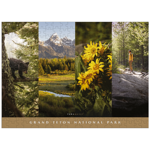 puzzleplate Sights of Grand Teton National Park: Spring 300 Jigsaw Puzzle