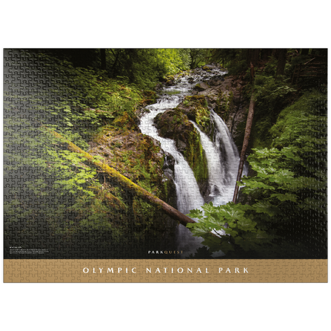 puzzleplate Olympic National Park: Sol Duc Falls 1000 Jigsaw Puzzle
