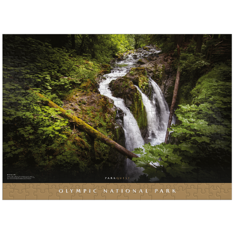 puzzleplate Olympic National Park: Sol Duc Falls 300 Jigsaw Puzzle