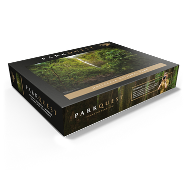 Haleakala National Park: Pipiwai Trail 1000 Jigsaw Puzzle box view1