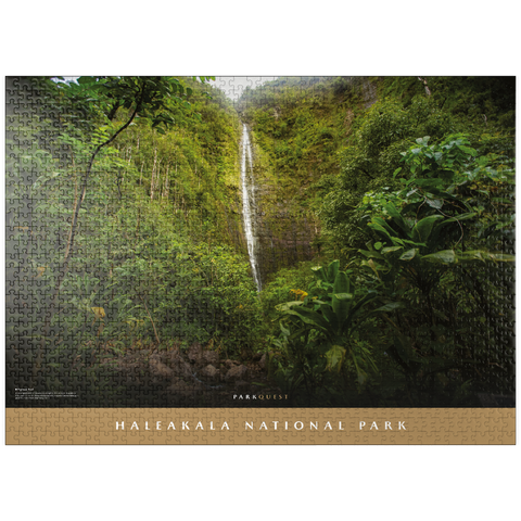 puzzleplate Haleakala National Park: Pipiwai Trail 1000 Jigsaw Puzzle