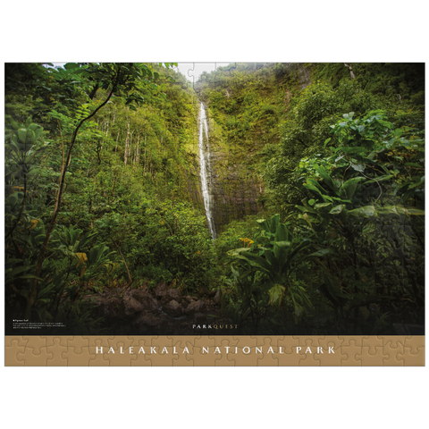 puzzleplate Haleakala National Park: Pipiwai Trail 300 Jigsaw Puzzle