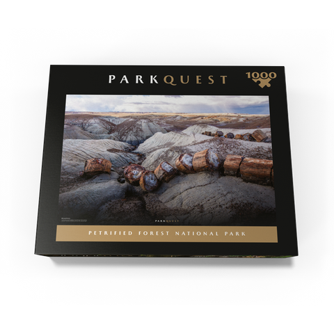 Petrified Forest National Park: Crystal Forest 1000 Jigsaw Puzzle box view3