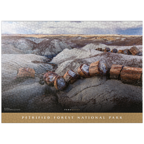 puzzleplate Petrified Forest National Park: Crystal Forest 1000 Jigsaw Puzzle