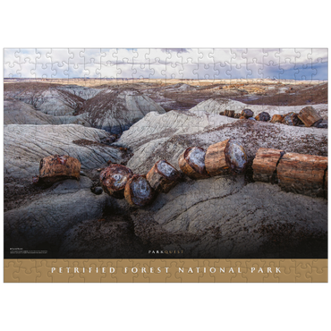 puzzleplate Petrified Forest National Park: Crystal Forest 300 Jigsaw Puzzle