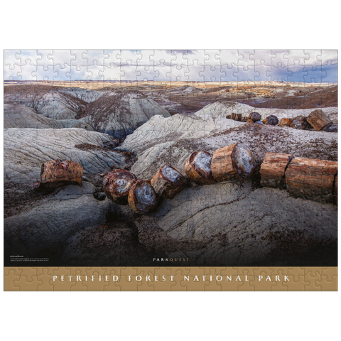 puzzleplate Petrified Forest National Park: Crystal Forest 300 Jigsaw Puzzle