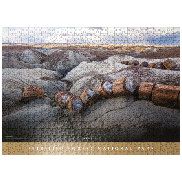 puzzleplate Petrified Forest National Park: Crystal Forest 500 Jigsaw Puzzle