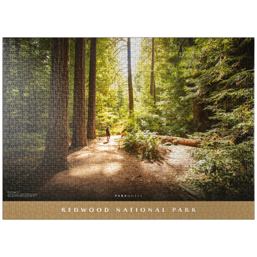 puzzleplate Redwood National Park: Karl Knapp Trail 1000 Jigsaw Puzzle