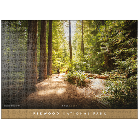 puzzleplate Redwood National Park: Karl Knapp Trail 1000 Jigsaw Puzzle