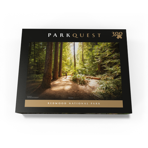Redwood National Park: Karl Knapp Trail 300 Jigsaw Puzzle box view3