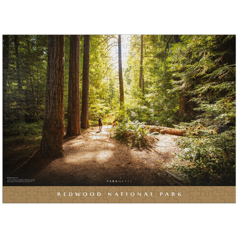 puzzleplate Redwood National Park: Karl Knapp Trail 300 Jigsaw Puzzle
