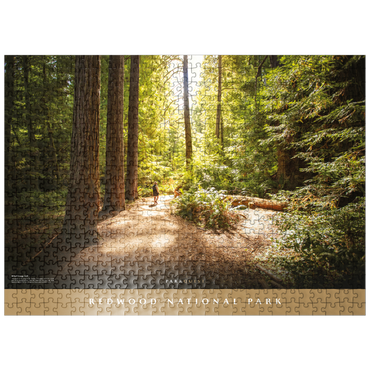 puzzleplate Redwood National Park: Karl Knapp Trail 500 Jigsaw Puzzle