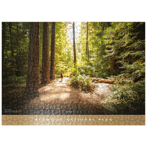 puzzleplate Redwood National Park: Karl Knapp Trail 500 Jigsaw Puzzle
