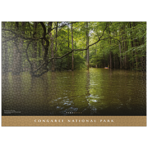puzzleplate Congaree National Park: South Cedar Creek Landing 1000 Jigsaw Puzzle