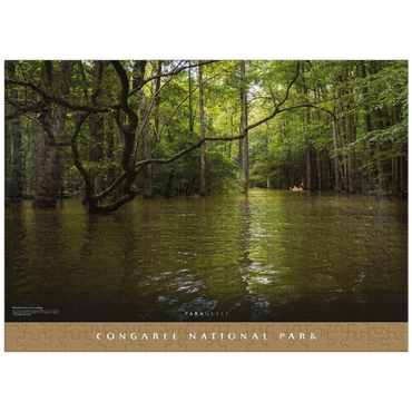 puzzleplate Congaree National Park: South Cedar Creek Landing 300 Jigsaw Puzzle