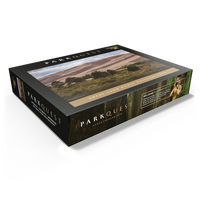 Great Sand Dunes National Park: Medano Pass Primitive Road 1000 Jigsaw Puzzle box view1