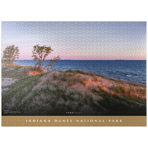 puzzleplate Indiana Dunes National Park: West Beach 1000 Jigsaw Puzzle