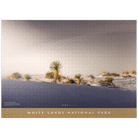 puzzleplate White Sands National Park: Backcountry Camping Loop Trail 1000 Jigsaw Puzzle