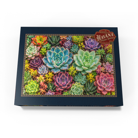 Colorful Succulent Garden 1000 Jigsaw Puzzle box view3