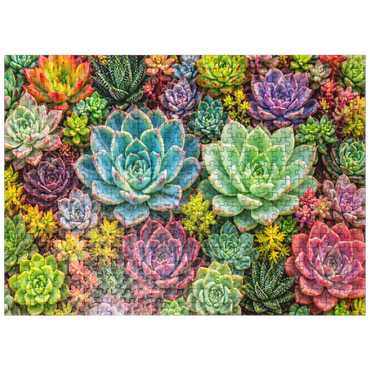 puzzleplate Colorful Succulent Garden 500 Jigsaw Puzzle