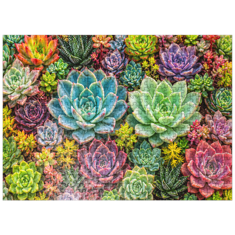 puzzleplate Colorful Succulent Garden 500 Jigsaw Puzzle