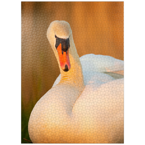 puzzleplate Swan View 1000 Jigsaw Puzzle