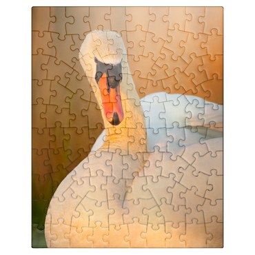 puzzleplate Swan View 100 Jigsaw Puzzle