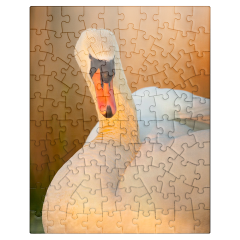 puzzleplate Swan View 100 Jigsaw Puzzle