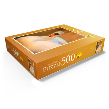Swan View 500 Jigsaw Puzzle box view1