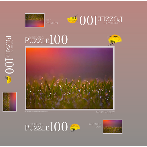 Morning Dew 100 Jigsaw Puzzle box 3D Modell
