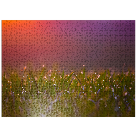 puzzleplate Morning Dew 500 Jigsaw Puzzle