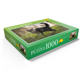 1000