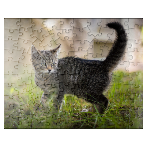 puzzleplate Little Nala - cute cat 100 Jigsaw Puzzle