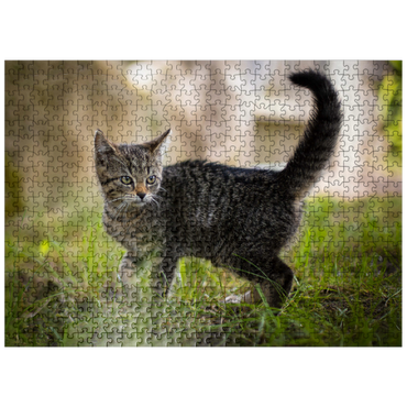 puzzleplate Little Nala - cute cat 500 Jigsaw Puzzle