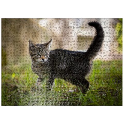 puzzleplate Little Nala - cute cat 500 Jigsaw Puzzle