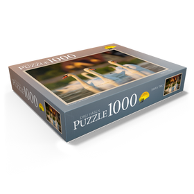 1000
