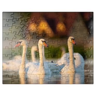 puzzleplate Swan Trio 100 Jigsaw Puzzle