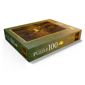 100