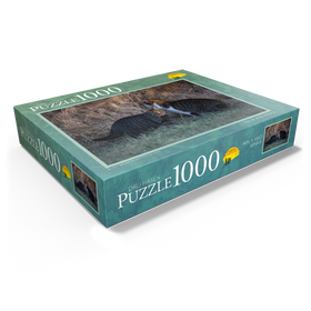 1000