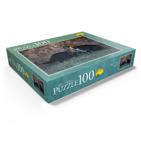 100