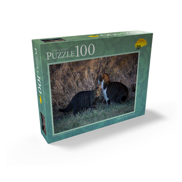 Nala and Minka - two sweet cats 100 Jigsaw Puzzle box view1
