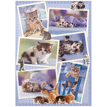 puzzleplate Cats - Monika Wegner - Little Friends 1000 Jigsaw Puzzle