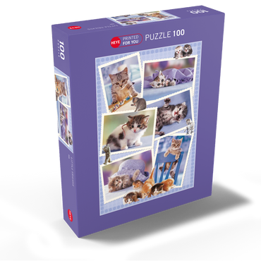 Cats - Monika Wegner - Little Friends 100 Jigsaw Puzzle box view1