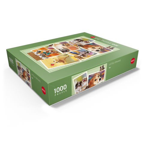 Dogs - Monika Wegner - Little Friends 1000 Jigsaw Puzzle box view1