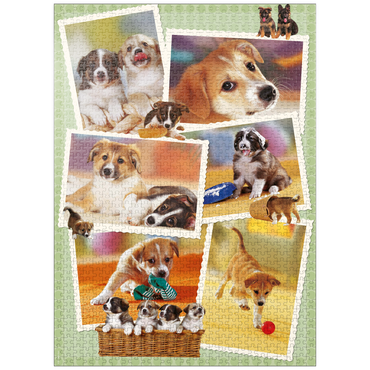 puzzleplate Dogs - Monika Wegner - Little Friends 1000 Jigsaw Puzzle