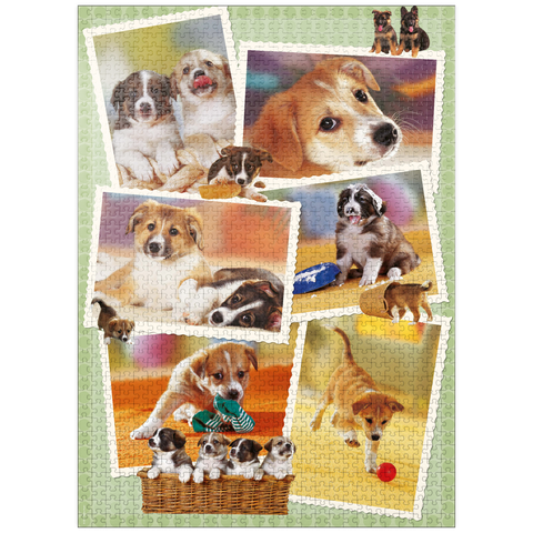 puzzleplate Dogs - Monika Wegner - Little Friends 1000 Jigsaw Puzzle